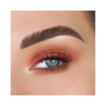 MALE ORDER FIRST CLASS - EYESHADOW PALETTE 10.5GR THEBALM - Image 4