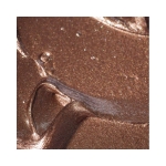 07 WOODY BRONZE - GLOWEYE LIQUID EYESHADOW 2.5ML BLONDE SISTER VEGAN - Image 3